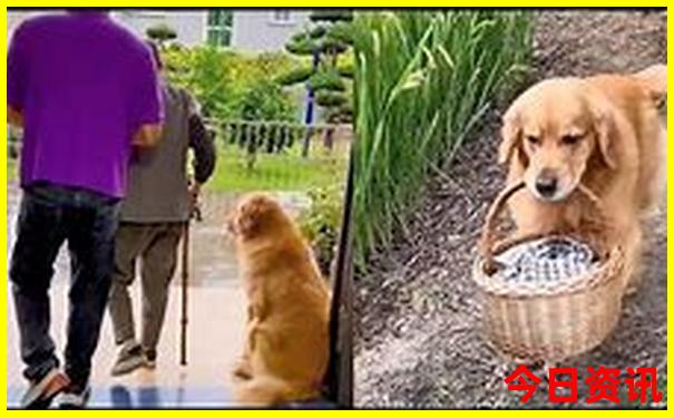 安宁周边游玩景点推荐一日游