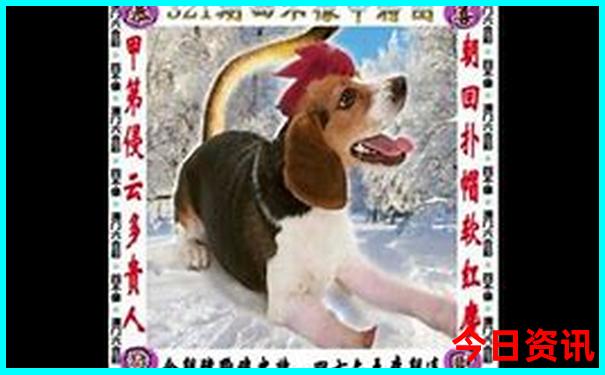 晋城古镇旅游景点大全